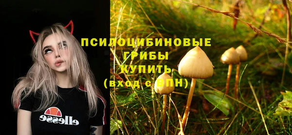 дмт Абаза
