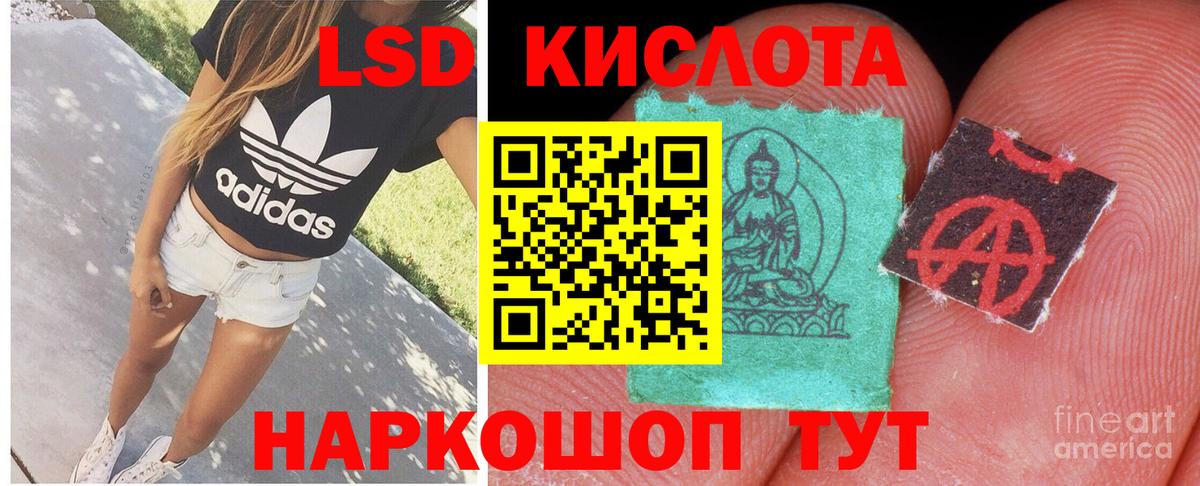 МЕФ Сертолово