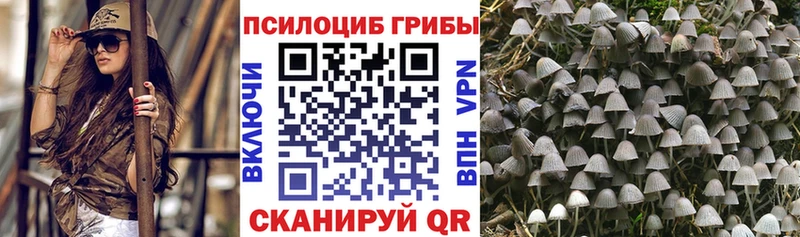 Псилоцибиновые грибы Psilocybine cubensis  кракен зеркало  Сертолово 