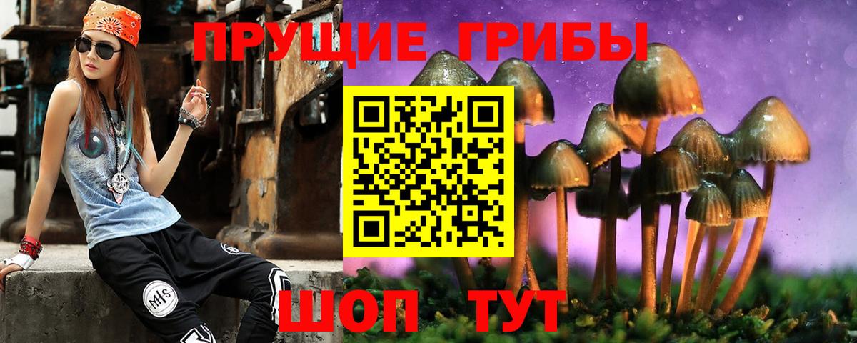 Галлюциногенные грибы мицелий Сертолово