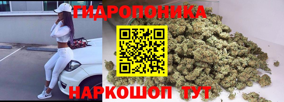 Конопля Bruce Banner  Бошки Шишки сатива  Марихуана Ganja  Сертолово  Вход с VPN 